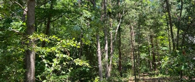 109 aspen ct, lake of the woods virginia LOT for sale