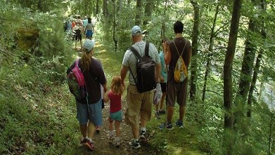 Family Hike through the woods. 