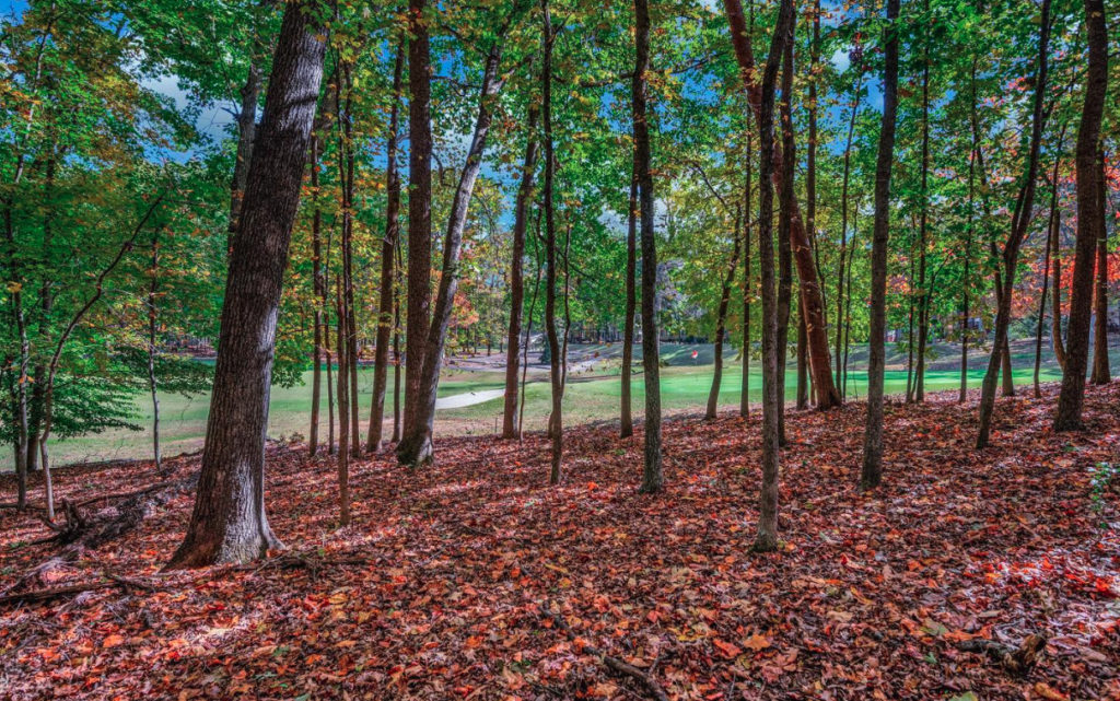 Lot for sale on golf course